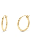 Brook & York Nellie Hoop Earrings In Gold