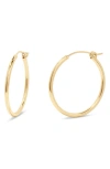 Brook & York Nellie Hoop Earrings In Gold - 29mm