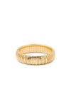 Brook & York Brook And York Scottie Xl Bracelet In Gold