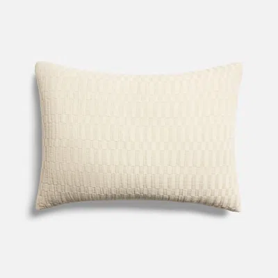 Brooklinen Woven Checkerboard Sham Set Size Euro In Ecru In Neutral