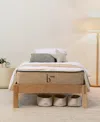 Brooklyn Bedding Birch Kids Natural 8" Cushion Firm Mattress In No Color