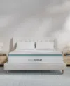 Brooklyn Bedding Helix Sunset 11.5" Soft Tight Top Mattress
