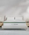 Brooklyn Bedding Helix Twilight 11.5" Firm Tight Top Mattress
