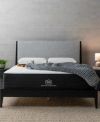 Brooklyn Bedding Select 12 Gel Memory Foam Hybrid Cushion Firm Tight Top Mattress In A Box Collection In Transparent