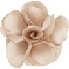 Brooklyn Brigade Floral Lapel Pin In Champagne