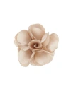 Brooklyn Brigade Floral Lapel Pin In Neutral