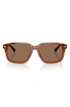 Brooks Brothers 57mm Rectangular Sunglasses In Brown