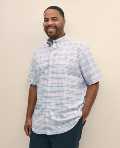 Brooks Brothers Big & Tall Stretch Cotton Non-iron Oxford Polo Button Down Collar, Bold Check Short-sleeve Shirt In Hydrangea