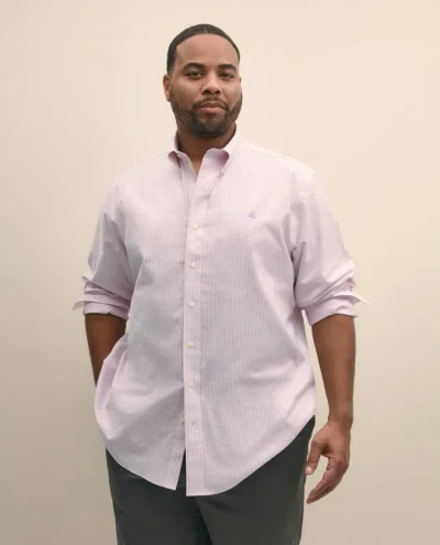 Brooks Brothers Big & Tall Stretch Cotton Non-iron Oxford Polo Button Down Collar, Candy Stripe Shirt In Purple
