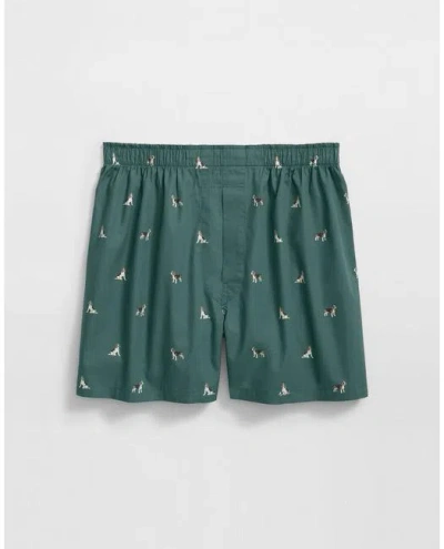 Brooks Brothers Cotton Broadcloth Beagle-pattern Boxers In Green