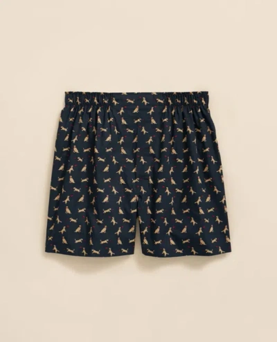 Brooks Brothers Cotton Broadcloth Dog & Frisbee Boxers In Blue