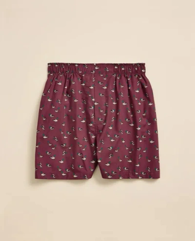 Brooks Brothers Cotton Broadcloth Mallard Boxers In Burgundy