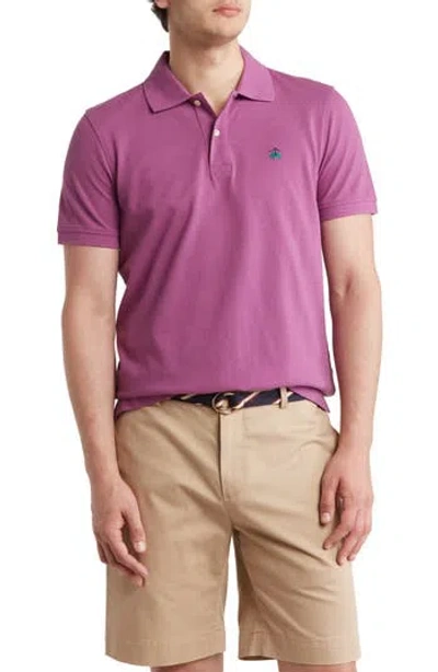 Brooks Brothers Cotton Piquè Polo In Amethyst