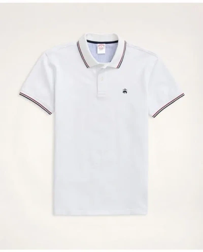 Brooks Brothers Golden Fleece Supima Tipped Polo Shirt In White