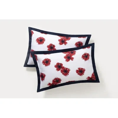Brooks Brothers Poppy Hawaian 2 Piece 100% Cotton Guest Room Sham Case Pack In Navy