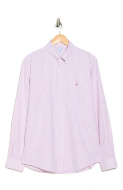 Brooks Brothers Regular Fit Candy Stripe Stretch Cotton Oxford Button-down Shirt In Bodacious Candy Stp