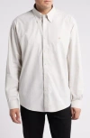 Brooks Brothers Regular Fit Solid Stretch Cotton Button-down Oxford Shirt In Pure Cashmere
