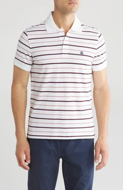 Brooks Brothers Stripe Short Sleeve Cotton Polo In White Multi