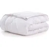 Brooks Brothers Wellsoft Turkish Cotton Comforter In White