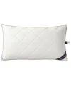 Brooks Brothers Cotton Queen Pillow In Cream
