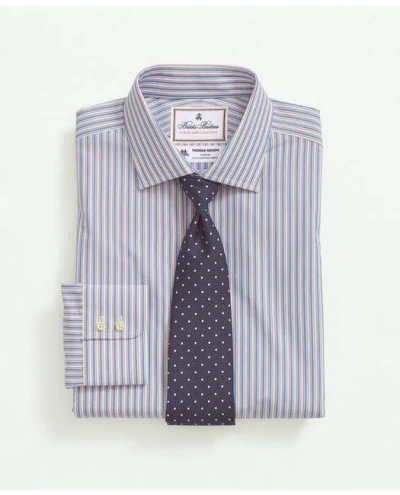 Brooks Brothers X Thomas Mason Cotton Poplin English Collar, Stripe Dress Shirt In Blue,white