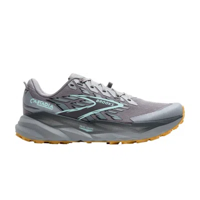 Pre-owned Brooks Cascadia 19 'alloy' | Grey | Men's Size 15 In Gray