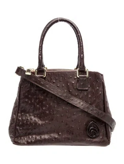 Pre-owned Brother Vellies Ostrich Top Handle Bag In Brown