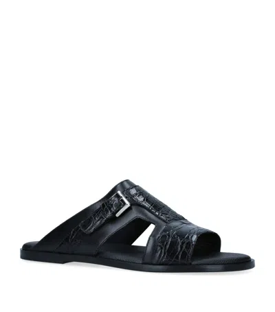 Brotini Leather Buckle-detail Sandals In Black