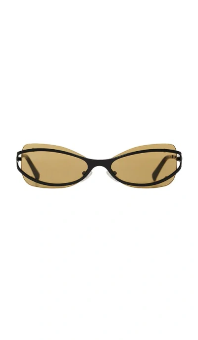 Bru Eyewear Cannon Sunglasses In Honey系列