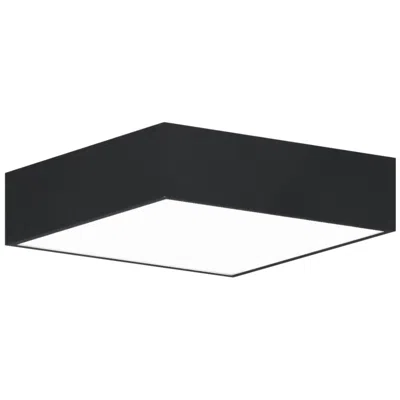 Bruck Lighting Jazz 12" Wide Black Square Led Surface Mount - Direct - Made To Order