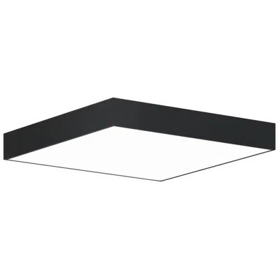 Bruck Lighting Jazz 22"w Black Square Led Surface Mount - Direct/indirect Made To Order