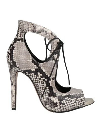 Bruglia Pumps In Grey