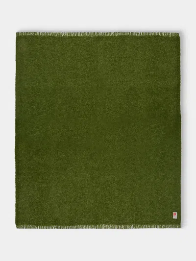 Brun De Vian-tiran Cirrus Handwoven Mohair Throw (71in/1.8m) In Green