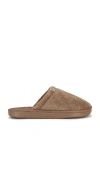 Brunch Essential In Brown