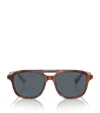 Brunello Cucinelli Acetate Bc4001s Sunglasses In Brown