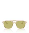 Brunello Cucinelli Acetate Bc4001s Sunglasses In Green