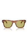 Brunello Cucinelli Acetate Bc4002s Sunglasses In Brown