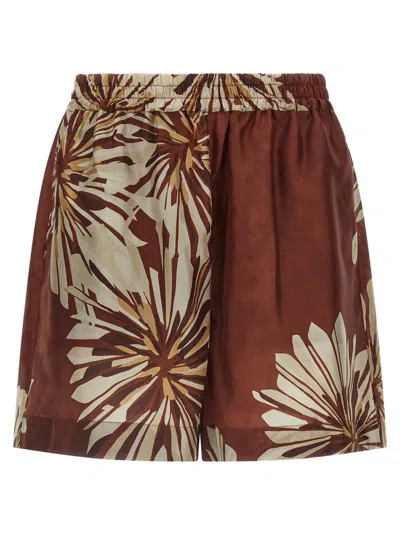 BRUNELLO CUCINELLI WOMEN BROWN SILK SHORTS, 24 LUXURY SHORTS FOR WOMEN DARVEYS