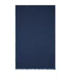 Brunello Cucinelli Cashmere Scarf In Blue