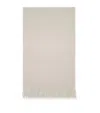 Brunello Cucinelli Cashmere Scarf In Gray