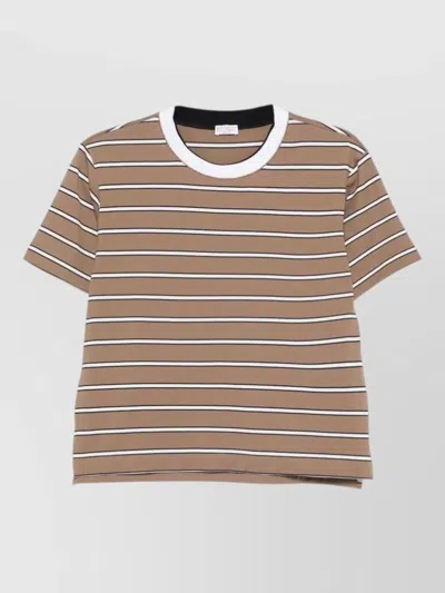 Brunello Cucinelli Cotton T Shirt Short Sleeves Crew Neck In Brown