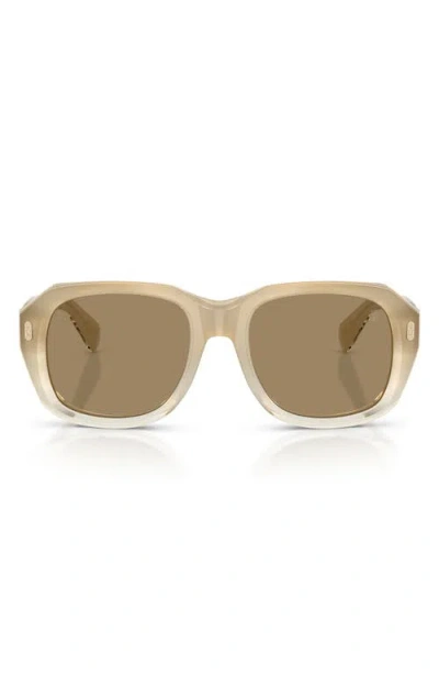Brunello Cucinelli Demetra 53mm Square Sunglasses In Neutral
