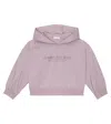 Brunello Cucinelli Embroidered Cotton Hoodie In Purple