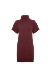 Brunello Cucinelli Ribbed Turtleneck Mini Dress In Red
