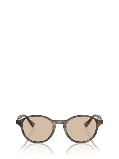 Brunello Cucinelli Eyeglasses In Brown