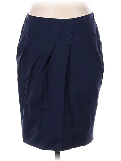 Pre-owned Brunello Cucinelli Formal Skirt In Blue
