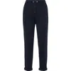 Brunello Cucinelli Interlock Trousers In Blue