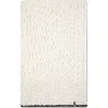 Brunello Cucinelli Cashmere Scarf In Panama