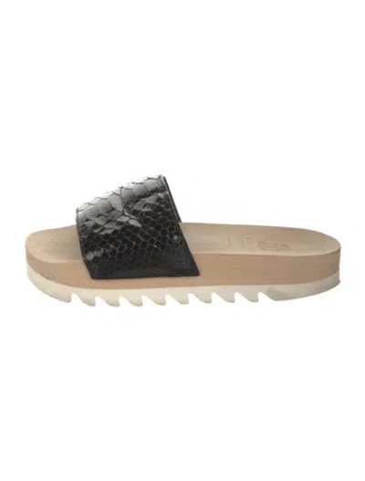 Pre-owned Brunello Cucinelli Leather Animal Print Slides In Black/neutrals/white