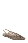 Brunello Cucinelli Ballerinas With Beads In Chocolate